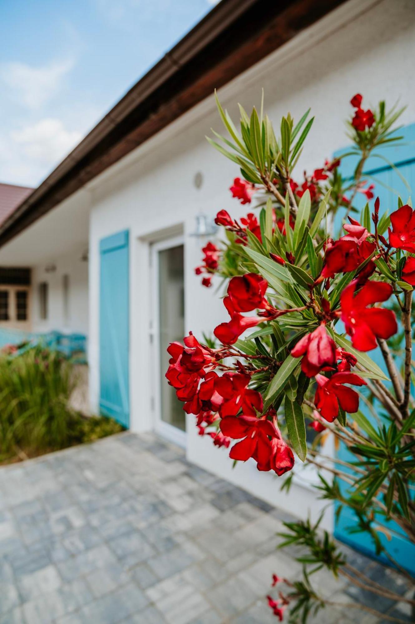 Ako Doma Hotel Poltar Buitenkant foto